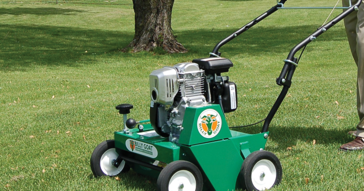 Power raking scarifier removing thatch from a lawn