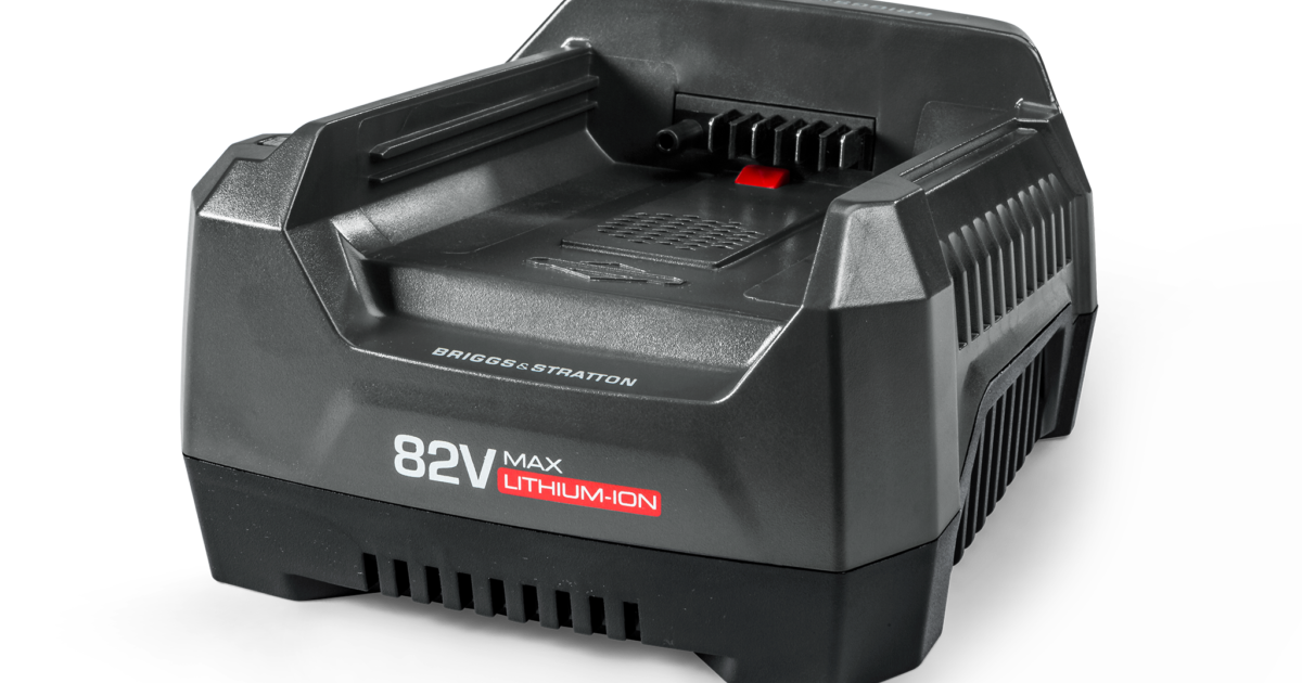 82V Rapid Charging Station Snapper